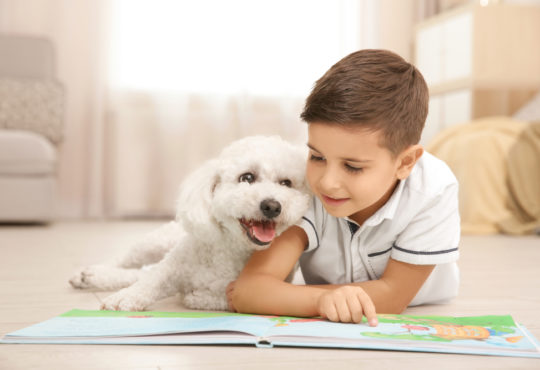 Książki o zwierzątkach – idealny wybór dla małych miłośników natury 2