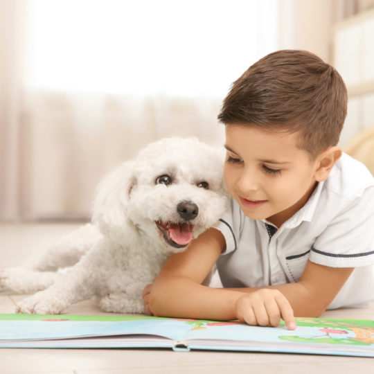 Książki o zwierzątkach – idealny wybór dla małych miłośników natury 9